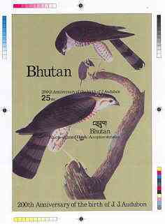 Bhutan 1985 John Audubon Bicentenary - Intermediate stage computer-generated essay #1 (as submitted for approval) for 25nu m/sheet (Sharp-shinned Hawk) 140 x 200 mm very similar to issued design plus marginal markings, ex Government archives and probably unique (as Sc 514), stamps on , stamps on  stamps on birds, stamps on audubon, stamps on hawks, stamps on birds of prey