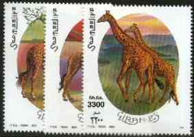 Somalia 2000 Giraffes perf set of 3 unmounted mint Michel 808-10*, stamps on , stamps on  stamps on animals, stamps on giraffes