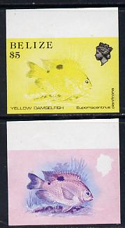 Belize 1984-88 Damselfish $5 def imperf progressive marginal proofs in red & blue and yellow & black, 2 proofs unmounted mint as SG 780, stamps on fish     marine-life