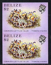 Belize 1984-88 Sea (Lettuce) Slug $2 def in unmounted mint imperf pair (SG 779), stamps on marine-life