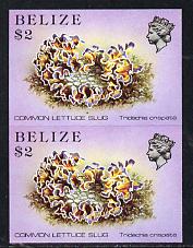 Belize 1984-88 Sea (Lettuce) Slug $2 def in unmounted mint imperf pair (SG 779), stamps on , stamps on  stamps on marine-life