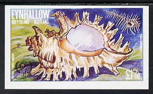 Eynhallow 1979 Shells (Year of the Child) £1 imperf souvenir sheet (Murex) unmounted mint, stamps on , stamps on  stamps on children  marine-life  shells, stamps on  stamps on  iyc , stamps on  stamps on 