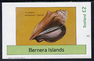 Bernera 1982 Shells (Florida Fighting Conch) imperf deluxe sheet (Â£2 value) unmounted mint, stamps on , stamps on  stamps on marine-life     shells