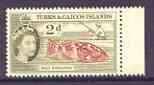 Turks & Caicos Islands 1957 Red Grouper 2d from def set unmounted mint, SG 239*, stamps on fish, stamps on fishing