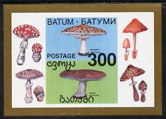 Batum 1994 Fungi imperf s/sheet unmounted mint, stamps on fungi