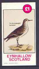 Eynhallow 1982 Sandpiper imperf souvenir sheet (£1value) unmounted mint, stamps on birds, stamps on sandpipers
