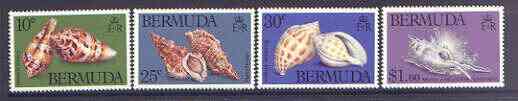 Bermuda 1982 Sea Shells set of 4 unmounted mint, SG 443-46, stamps on marine life, stamps on shells