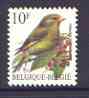 Belgium 1991-95 Birds #2 Greenfinch 10f unmounted mint, SG 3083, stamps on birds    