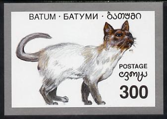 Batum 1994 Cats imperf s/sheet unmounted mint, stamps on , stamps on  stamps on animals  cats