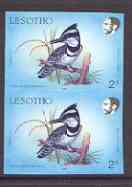 Lesotho 1988 Birds 2s Pied Kingfisher in superb imperf pair unmounted mint, SG 791var, stamps on birds, stamps on kingfisher