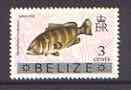 Belize 1973 Misty Grouper Fish 3c from opt'd def set with new Country name, unmounted mint, SG 350, stamps on , stamps on  stamps on fish