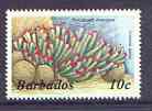 Barbados 1986-7 Pink-tipped Anemone 10c from definitive set of 9, unmounted mint SG 797A , stamps on marine life
