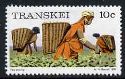 Transkei 1976-83 Tea Picking 10c (perf 14) from def set unmounted mint, SG 10a, stamps on , stamps on  stamps on food, stamps on  stamps on  tea , stamps on  stamps on drink