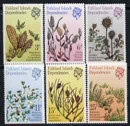 Falkland Islands Dependencies 1981 Plants set of 6 unmounted mint, SG 89-94, stamps on , stamps on  stamps on flowers