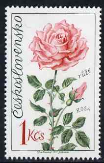 Czechoslovakia 1973 Rose 1k (from Flower Show set) unmounted mint, SG 2111, stamps on roses, stamps on flowers