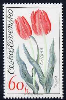 Czechoslovakia 1973 Tulip 60h (from Flower Show set) unmounted mint, SG 2110, stamps on tulips, stamps on flowers