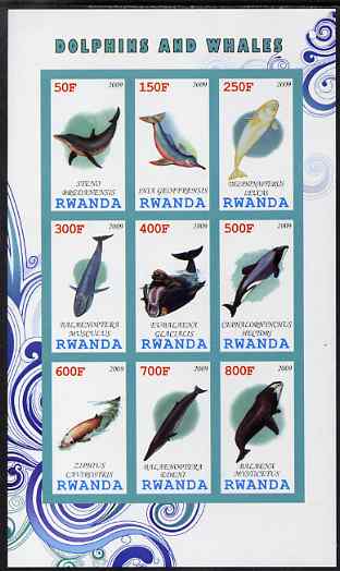Rwanda 2009 Whales & Dolphins imperf sheetlet containing 9 values unmounted mint, stamps on , stamps on  stamps on marine life, stamps on  stamps on whales, stamps on  stamps on dolphins, stamps on  stamps on fish, stamps on  stamps on mammals