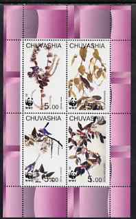 Chuvashia Republic 1998 WWF - John Audubon Birds perf sheetlet containing set of 4 values complete unmounted mint, stamps on , stamps on  stamps on wwf, stamps on birds, stamps on audubon, stamps on  stamps on  wwf , stamps on  stamps on 