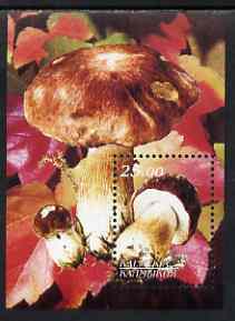 Kalmikia Republic 2001 Fungi perf souvenir sheetlet containing 1 value unmounted mint, stamps on , stamps on  stamps on fungi