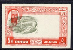 Dubai 1963 Mussel 5np Postage Due imperf proof on gummed paper with centre inverted & misplaced (as SG D30), stamps on , stamps on  stamps on marine life, stamps on shells