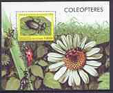 Guinea - Conakry 1998 Insects perf m/sheet unmounted mint (Insects on Flower), stamps on , stamps on  stamps on insects, stamps on  stamps on flowers