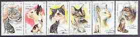 Afghanistan 1996 Domestic Cats complete set of 6 fine cto used*, stamps on , stamps on  stamps on cats