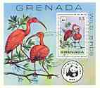 Grenada 1978 WWF - Birds (Ibis) perf m/sheet fine cto used, SG MS 929, stamps on , stamps on  stamps on wwf, stamps on  stamps on birds, stamps on  stamps on  wwf , stamps on  stamps on 
