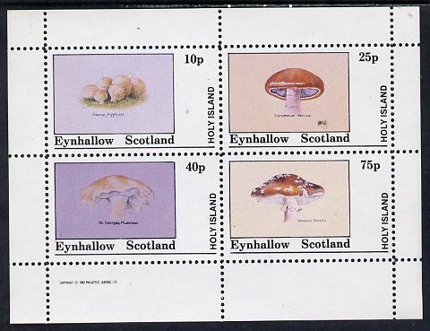 Eynhallow 1982 Fungi (Stump Puffball etc) perf set of 4 values (10p to 75p) unmounted mint, stamps on , stamps on  stamps on fungi