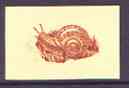 Dubai 1963 Edible Snail 25np imperf proof on gummed paper with superb offset of centre on gummed side, as SG 9var, stamps on , stamps on  stamps on shells, stamps on  stamps on marine life