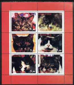 Udmurtia Republic 1998 Domestic cats #01 perf sheetlet containing set of 6 values unmounted mint, stamps on , stamps on  stamps on cats