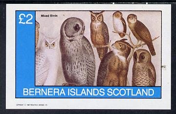 Bernera 1982 Birds #42 (Owls) imperf deluxe sheet (Â£2 value) unmounted mint, stamps on , stamps on  stamps on birds, stamps on  stamps on birds of prey, stamps on  stamps on owls