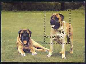 Chuvashia Republic 2001 Dogs perf m/sheet unmounted mint (Bull Mastiff), stamps on , stamps on  stamps on dogs, stamps on  stamps on bull mastiff