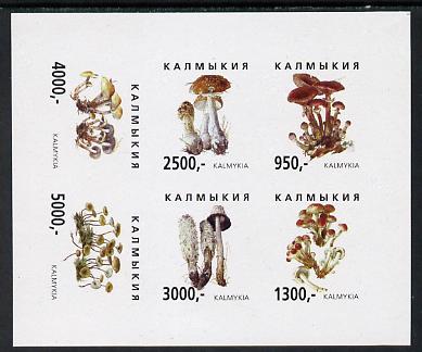 Kalmikia Republic 1998 Fungi imperf sheetlet containing complete set of 6 values unmounted mint, stamps on , stamps on  stamps on fungi  