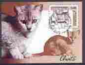 Cambodia 2001 Domestic Cats perf m/sheet fine cto used SG MS2169, stamps on cats