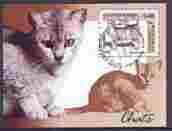 Cambodia 2001 Domestic Cats perf m/sheet fine cto used SG MS2169, stamps on , stamps on  stamps on cats