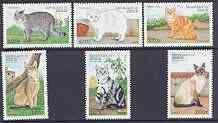 Benin 1998 Domestic Cats complete perf set of 6 values unmounted mint, stamps on cats