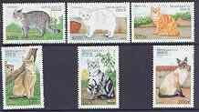 Benin 1998 Domestic Cats complete perf set of 6 values unmounted mint, stamps on cats