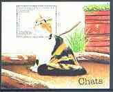 Benin 1998 Domestic Cats perf m/sheet unmounted mint, stamps on cats