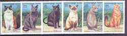 Cambodia 1999 Domestic Cats complete perf set of 6 values unmounted mint, stamps on cats