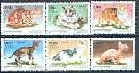 Cambodia 1998 Domestic Cats complete perf set of 6 values unmounted mint, stamps on cats