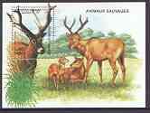 Cambodia 1999 Wild Animals perf m/sheet (Deer) unmounted mint, stamps on animals, stamps on deer