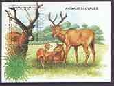 Cambodia 1999 Wild Animals perf m/sheet (Deer) unmounted mint, stamps on , stamps on  stamps on animals, stamps on  stamps on deer