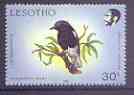 Lesotho 1988 Birds 30s Mountain chat unmounted mint, SG 798*, stamps on birds, stamps on chats