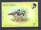 Lesotho 1988 Birds 3s Plover unmounted mint, SG 792*, stamps on birds, stamps on plovers