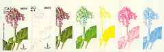 Dhufar 1977 Garden Flowers 1B (Bergenia) set of 7 imperf progressive colour proofs comprising the 4 individual colours plus 2, 3 and all 4-colour composites unmounted mint, stamps on flowers