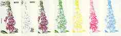 Dhufar 1977 Garden Flowers 30B (Digitalis) set of 7 imperf progressive colour proofs comprising the 4 individual colours plus 2, 3 and all 4-colour composites unmounted mint, stamps on , stamps on  stamps on flowers
