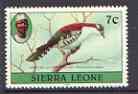 Sierra Leone 1980-82 Birds - Didric Cuckoo 7c (with 1982 imprint date) unmounted mint SG 626B, stamps on birds, stamps on cuckoos