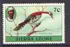 Sierra Leone 1980-82 Birds - Didric Cuckoo 7c (with 1982 imprint date) unmounted mint SG 626B, stamps on , stamps on  stamps on birds, stamps on  stamps on cuckoos