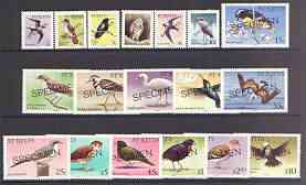 St Kitts 1981 Birds definitive set (without imprint date) perf set of 18 optd SPECIMEN, as SG 53-70A unmounted mint, stamps on birds, stamps on frigate, stamps on birds of prey, stamps on owls, stamps on martin, stamps on heron, stamps on egret, stamps on turnstone, stamps on pelican, stamps on bullfinch, stamps on dove, stamps on kestrel, stamps on humming-birds, stamps on hummingbirds