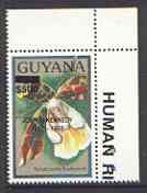 Guyana 1990 (?) John F Kennedy opt'd & surcharged $500 on $20.00 orchid (Scuticaria h) from World Personalities overprints, unmounted mint as SG type 465, stamps on , stamps on  stamps on personalities, stamps on  stamps on orchids, stamps on  stamps on flowers, stamps on  stamps on constitutions, stamps on  stamps on americana, stamps on  stamps on presidents, stamps on  stamps on kennedy